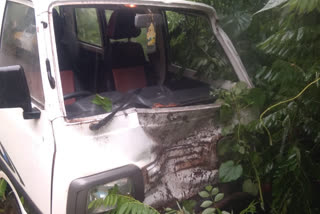 A tree fallen on a moving car