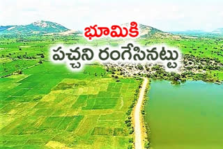 full greenery in suryapet villages