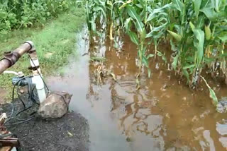 water eruptive from unworked borewell