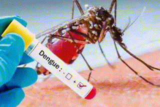 health department will fight against corona and dengue disease