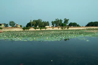 Khemji pond bad condition