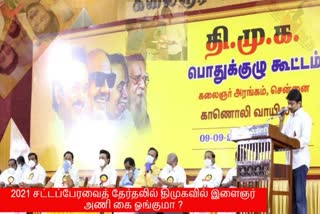 திமுக இளைஞரணி  திமுக பொதுக்குழுக்கூட்டம்  dmk youthwing  udhayanidhi stalin