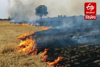 stubble burning management policy