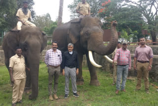 Covid test for Dasara elephants if necessary... DCF