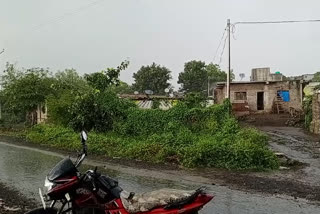 rain starts in hingoli