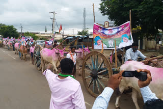 Farmer's bullock cart demonstration at Tallada in Khammam district welcoming the new revenue law in TG state