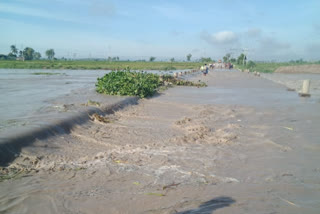 Heavy rains in Bellary district