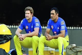 shane watson and ms dhoni