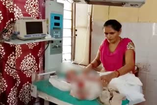 Newborn found in bushes in Kaman,  Bharatpur News