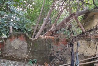 Jal Board wall in shabby condition at Chirag delhi