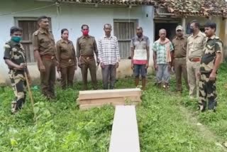 sala wood seized in mayurbhanj