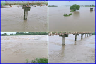 heavy rains in cadapa kurnool