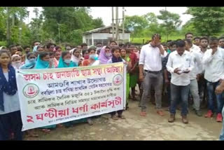 'কেৱল ভোটবেংকৰ বাবেই চাহ শ্ৰমিক সকলক ব্যৱহাৰ কৰি আহিছে চৰকাৰে'