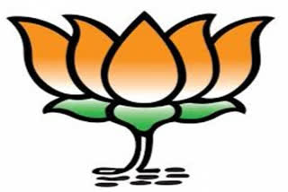Hitanand appointed MP BJP Joint Secretary