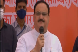 Nadda launches 'Seva Saptah' from UP village