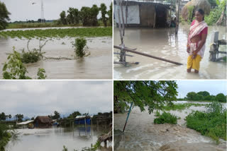 heavy rains in guntur