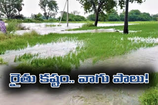 Heavy Rain in Chowtuppal Crops Drained In Water