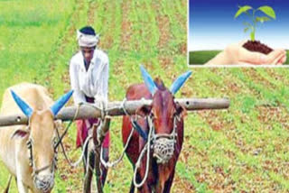 MSP will stay, farmers will get investment, technology: Govt on farm sector bills