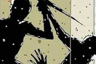 Man kills wife, mother-in-law in Jaipur