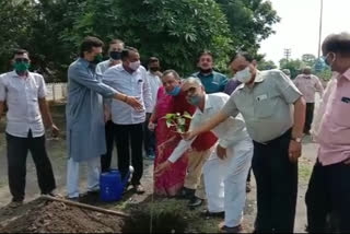 tree-planting