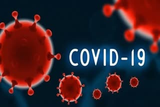 sonipat new corona virus case update