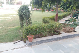 Corporation Councilor Rajdutt Gehlot renovated Kakrola Mahila Park