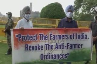Bajwa and Dullo protest against anti farmer ordinances at Parliament