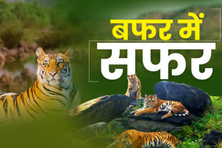 Madhya Pradesh Eco Tourism Board