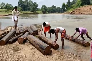 Smuggling of wood  in Mungeli