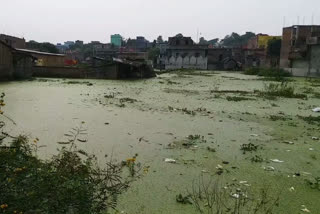 ganga river's water has entered the residential area of sahibganj