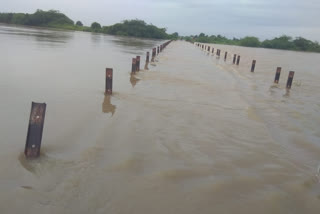 kundhoo river flowing flood in panyam kurnool district