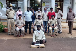 15.5 KG Marijuana seize in Bidar