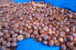 Govt bans export of onions