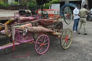 Vaduj police action on organizing bullock cart race in satara district