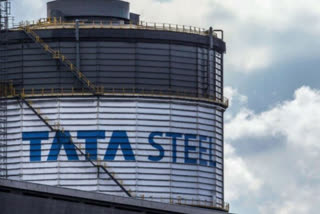 tata steels investment i