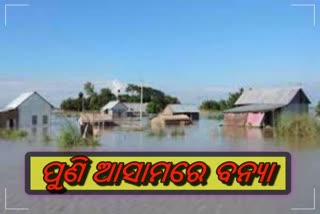 ଆସାମରେ ଜଳପ୍ରଳୟ: ଚାରି ଜିଲ୍ଲାର 34,000 ଲୋକ ପ୍ରଭାବିତ, ଜଣେ ମୃତ