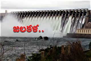 14-gates-lifted-due-to-heavy-inflow-in-nagarjuna-sagar-project-at-nalgonda