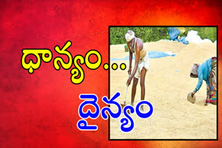 The situation of the grain farmers of Nellore district has become impassable.