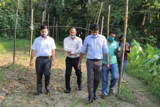 DC Harikesh meena visit Natural farming farm in Skarla village in hamirpur