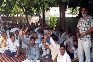 electricity employees protest in Charkhi Dadri