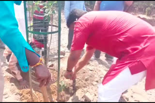 BJP leader Gajendra Yadav planted saplings in Mehrauli