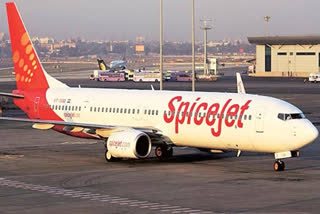 SpiceJet reports net loss of Rs 593 crore in April-June quarter