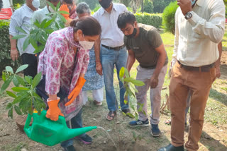 SDMC chairperson did plantation under pm narendra modi birthday service week in Malviya Nagar