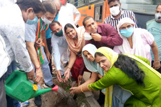 BJP women leader planted 70 saplings in ward 33s Mangalpuri on the occasion of sewa saptah