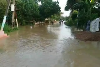 heavy flood with gunderu drain in sathyanarayanapuram west godavari district