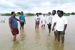 TDP leaders protest in chapirevula kurnool district