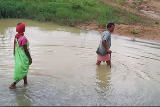 villagers crossing river-drain due to lack of bridge in pratappur block of surajpur district