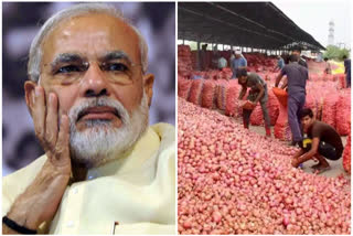 Govt bans export of onions : Farmers protest, want government to procure onions at MSP