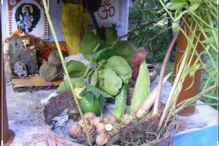 Sair celebration in Himachal