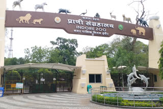 Kamla Nehru Zoological Museum Indore